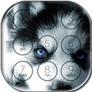 Siberian Husky Lock Screen APK