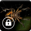 Spider Animal Screen Lock