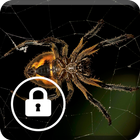 آیکون‌ Spider Animal Screen Lock