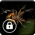 Spider Animal Screen Lock 图标