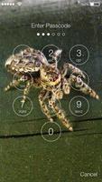 Spider Animal Screen Lock 海报
