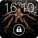 Spider in Phone Screen Lock APK