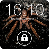 Spider in Phone Screen Lock