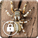Spider Poisonous Screen Lock APK