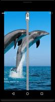 3 Schermata Dolphin Zip Locker