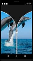 1 Schermata Dolphin Zip Locker
