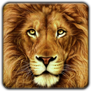 Lion Wallpapers 4K Background APK