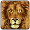 Lion Wallpapers 4K Background