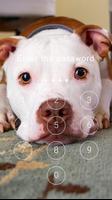 Fancy Screen Lock Dog Face 截图 2