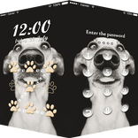 AppLock Theme Dog
