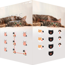AppLock Theme Magical Cat APK