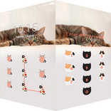 AppLock Theme Magical Cat