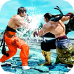 Real Ninja Kung Fu Fight : Street Fighting Tiger