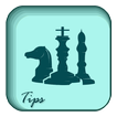 Tips To Play Chess