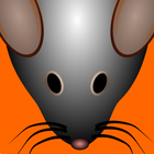 CatzPlay Game for Cats icon