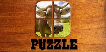 Puzzle für Erwachsene