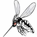 Aedes Aegypti - A Epidemia APK