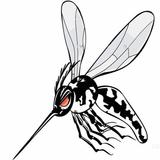 Aedes Aegypti - A Epidemia ikona
