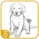 Como Dibujar un Perro APK
