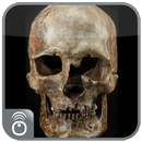 Imagenes de Calaveras APK