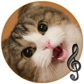 Sonidos de Gatos HQ icon
