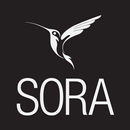 APK Sora, סורה