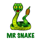 ikon Mr Snake