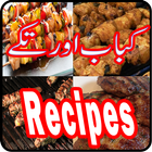 Kabab aur Tikkay Recipes New icône