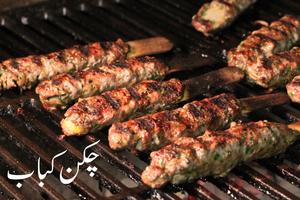 Kabab aur Tikkay Recipes New capture d'écran 3