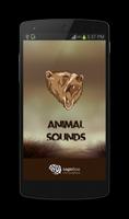 Animal Sounds Cartaz