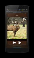 Animal Sounds syot layar 2