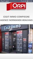 CEGIT IMMO-poster