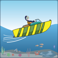 Swim Run