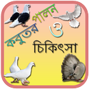 কবুতর পালন Kobutor Palon APK