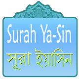 Surah Yasin icône