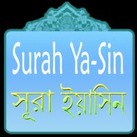 Surah Yasin تصوير الشاشة 2