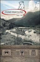 Hotel Marmotte SF poster