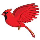 Zıp Zıp Kuş ikon