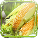 Corn Jigsaw Puzzles APK