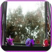 Rainy season Jigsaw Puzzles