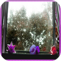 Rainy season Jigsaw Puzzles