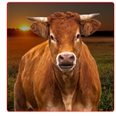 Crazy Cow Attack Simulator 3D APK