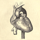 Heartbeat icon