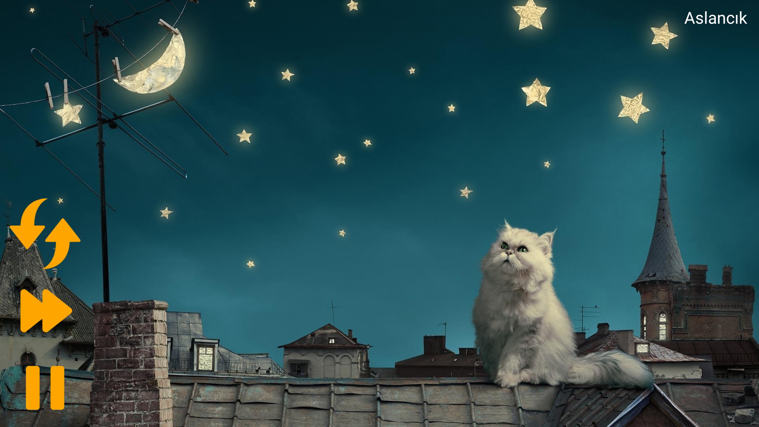 Луна над крышей дома. Кот на крыше. "Лунный кот". Лунный коn. Кот ночью.