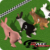 Rabbit Racing Adventure 3D APK
