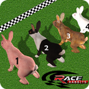 Rabbit Racing Adventure 3D-APK