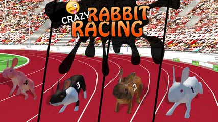 Rabbit Racing Adventure 3D APK download