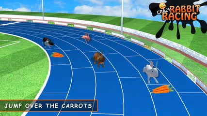 Rabbit Racing Adventure 3D APK download