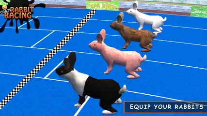 Rabbit Racing Adventure 3D APK download