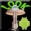 Mushrooms Look APK